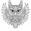 Mandala chouette