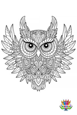 Mandala chouette