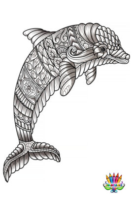 Mandala dauphin