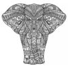 Mandala elephant2
