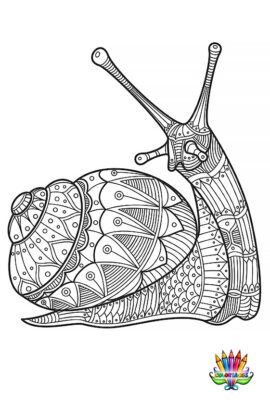 Mandala escargot