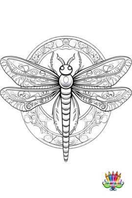 Mandala libellule