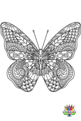 Mandala papillon