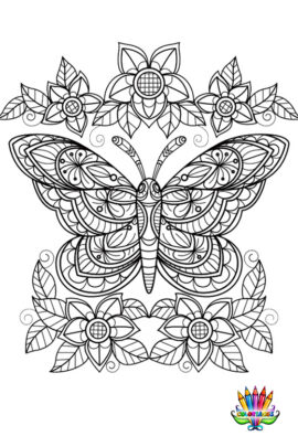 Mandala papillon nature