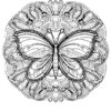 Mandala papillon2