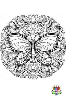 Mandala papillon2