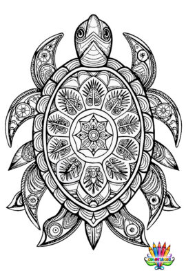 Mandala tortue1